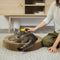 Cat Beds & Mats