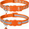 Cat Collars