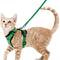 Cat Fashion & Accessories