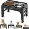 Dog Bowls & Feeders