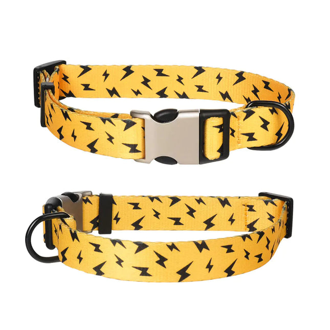 Personalized Engraved Metal Dog Collar with Tag