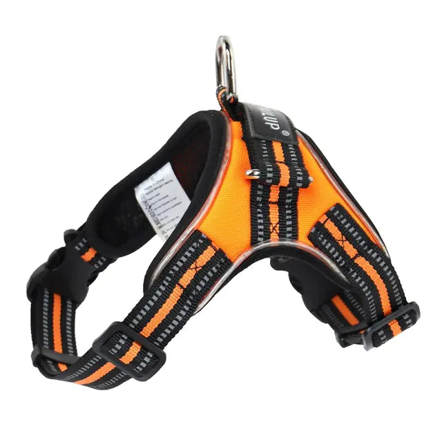 Glowing Dog Collar for Safety and Style